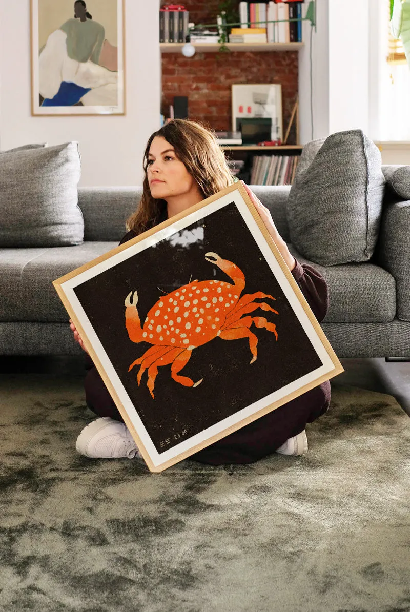 Enikő Eged - Spotted Crab