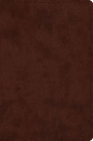 ESV Compact Bible (TruTone, Brown)