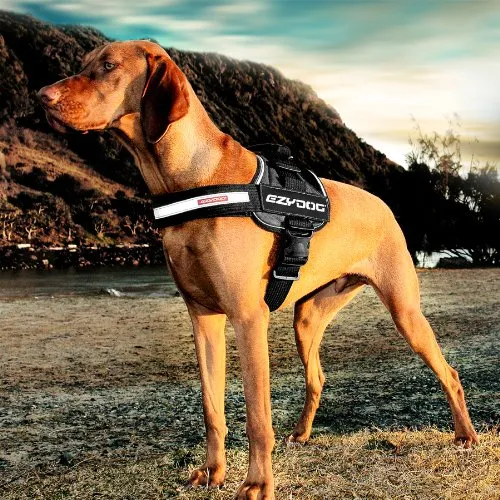 EzyDog Convert Harness - Extra Large