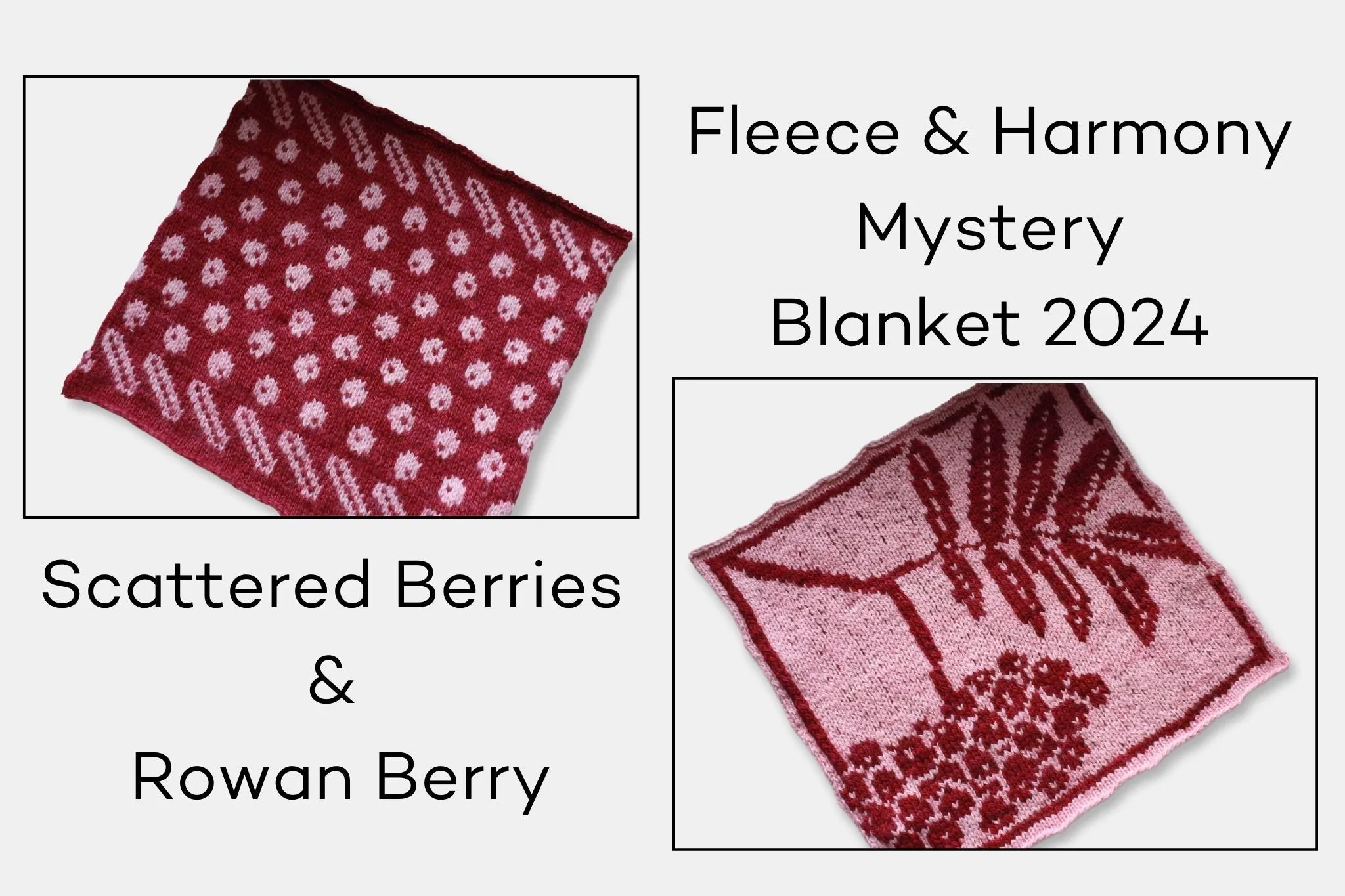 Fleece and Harmony Blanket 2024 February