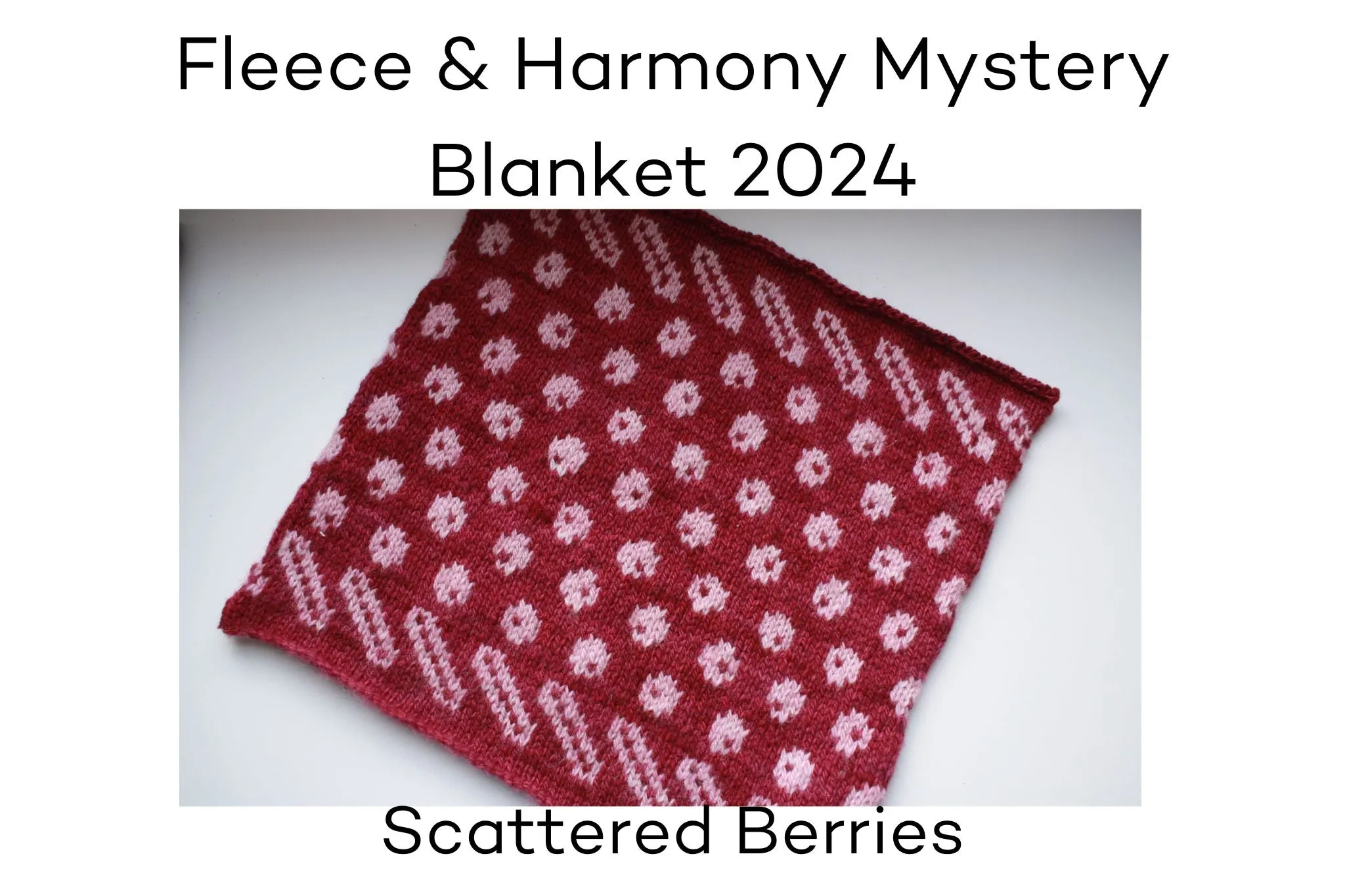Fleece and Harmony Blanket 2024 February