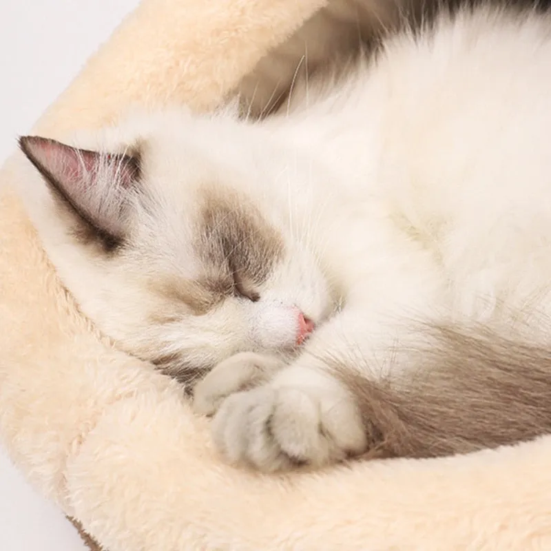 Funki Buys | Pet Beds | Cat Bed | Cat Cave | Warm Kitty House