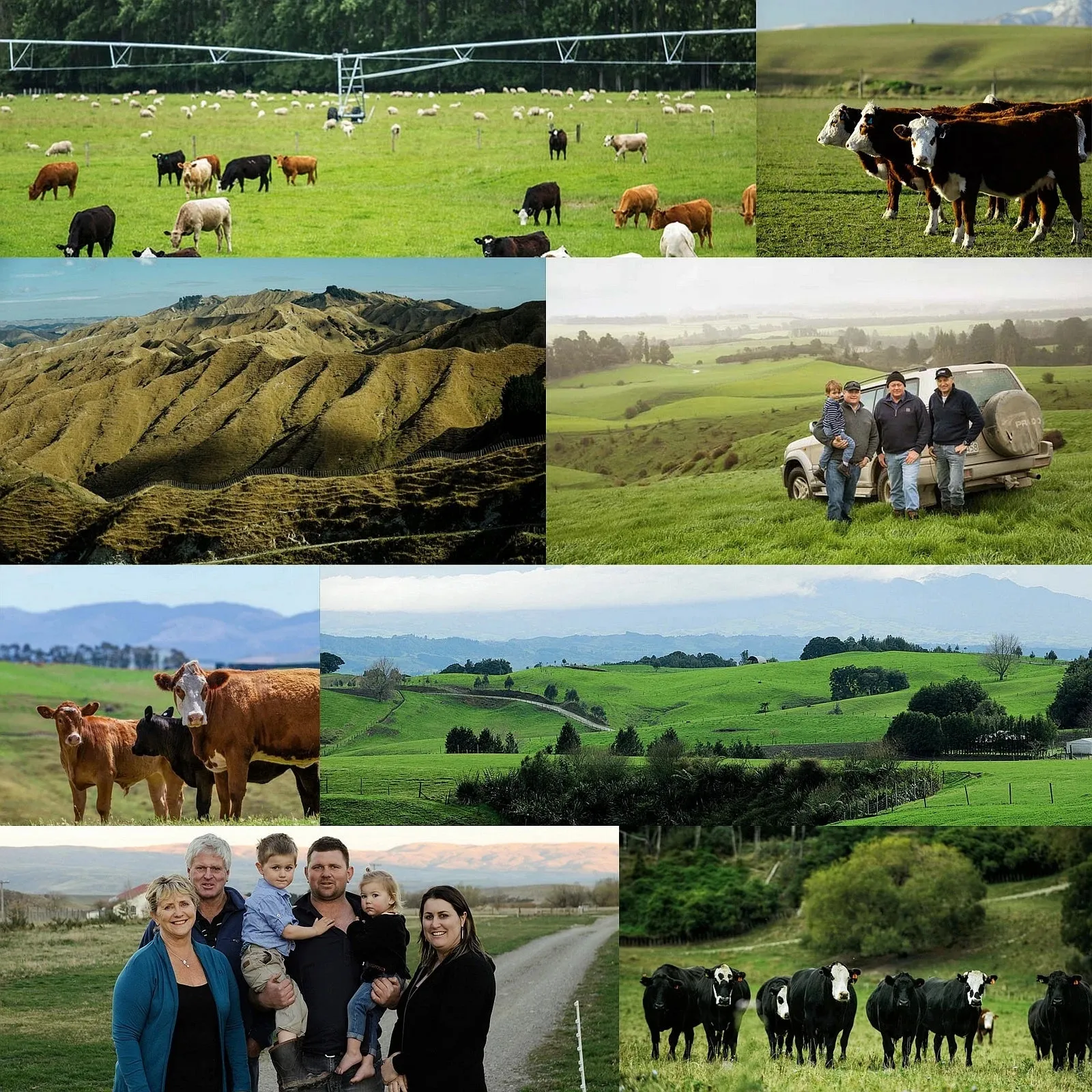 Grass-Fed Beef Teres Major / Petite Tender Slices from New Zealand (300g)
