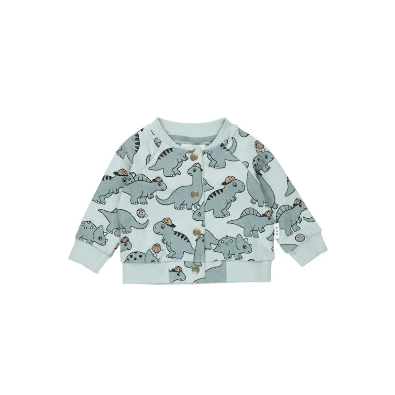 Huxbaby B-Ball Dino Bomber