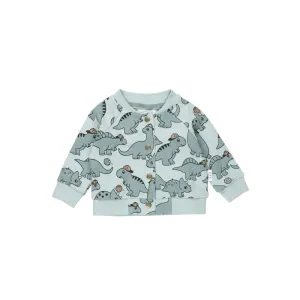 Huxbaby B-Ball Dino Bomber