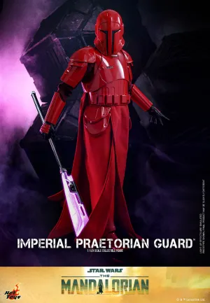 Imperial Praetorian Guard 1/6 Scale Figure by Hot Toys