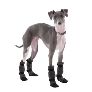 Italian Greyhound Dog Booties
