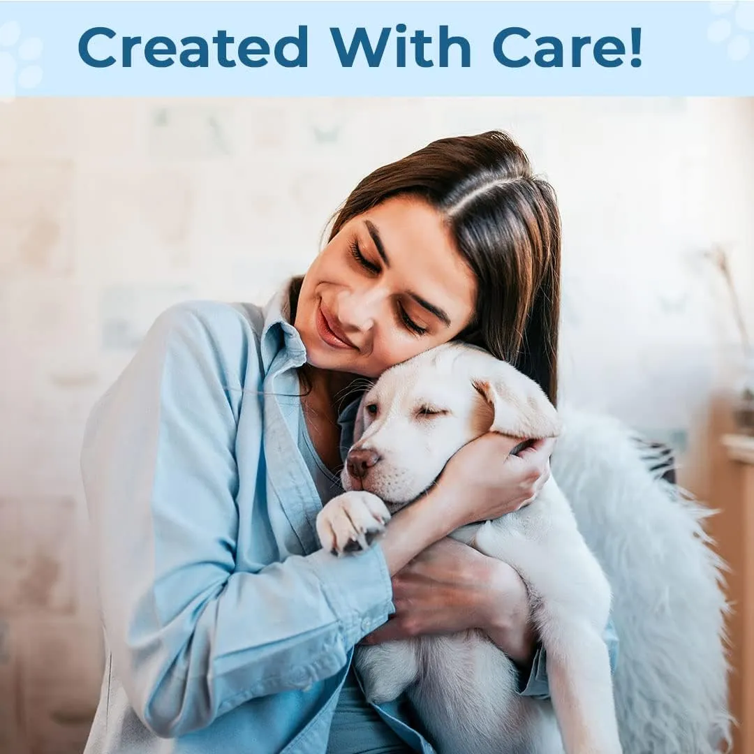 Kuber Industries Rectangular Dog & Cat Bed|Premium Cool Ice Silk with Polyester With Bottom Mesh|Multi-Utility Self-Cooling Pad For Dog & Cat|Light-weight & Durable Dog Bed|ZQCJ001B-XL|Blue(Pack Of 2)