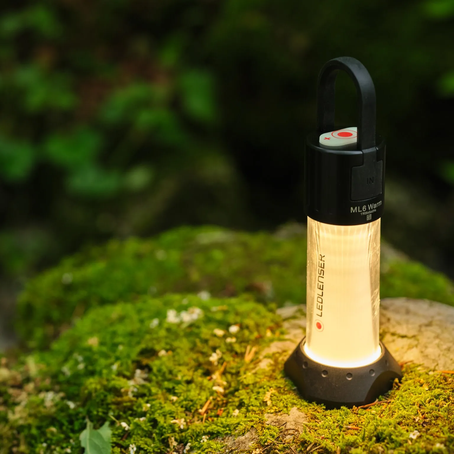 Led Lenser ML6 Warm Light Black | Buy Led Lenser ML6 Warm Light Black here | Outnorth