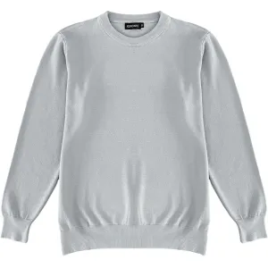 Light Grey Mens Knit Classic Crew Neck Sweater