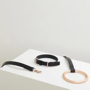 Lumi Leash and Collar Set