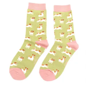 Miss Sparrow Jack Russell Olive Socks