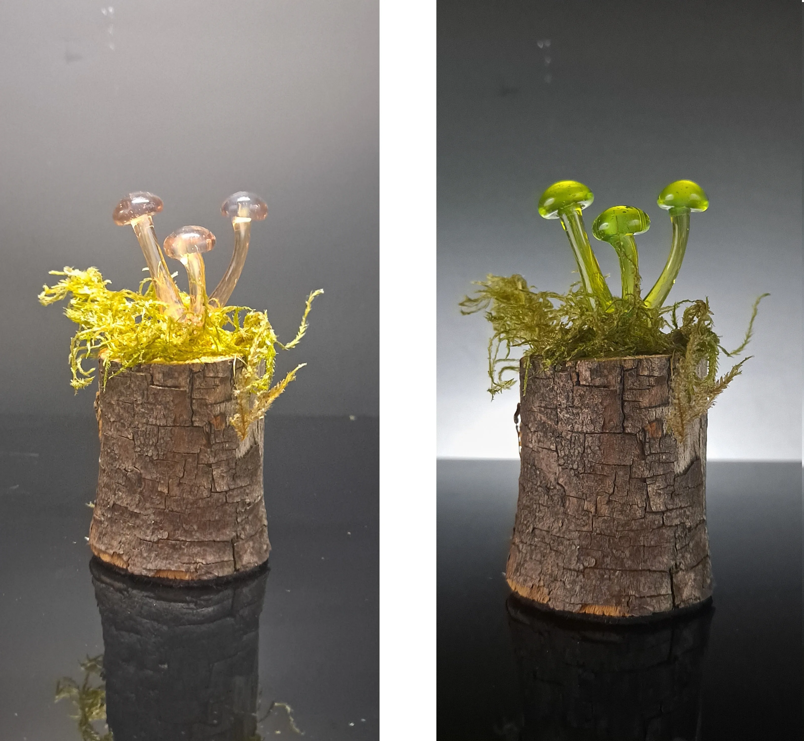 Mushroom Sculpture, Color Changing Mushroom Collection
