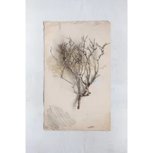 Natural Sea Bush