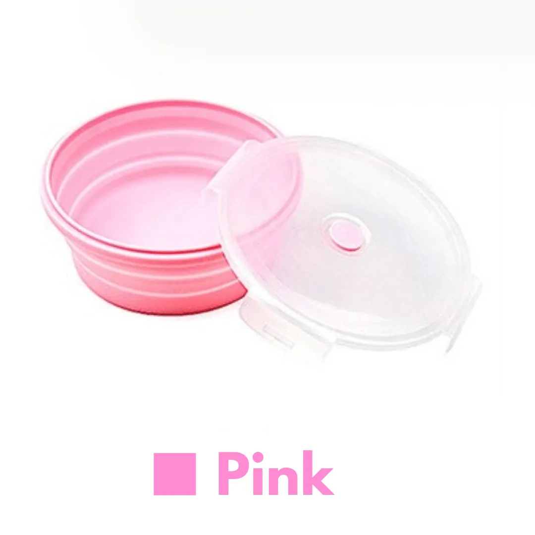 Pack&Go Collapsible Lunch Box