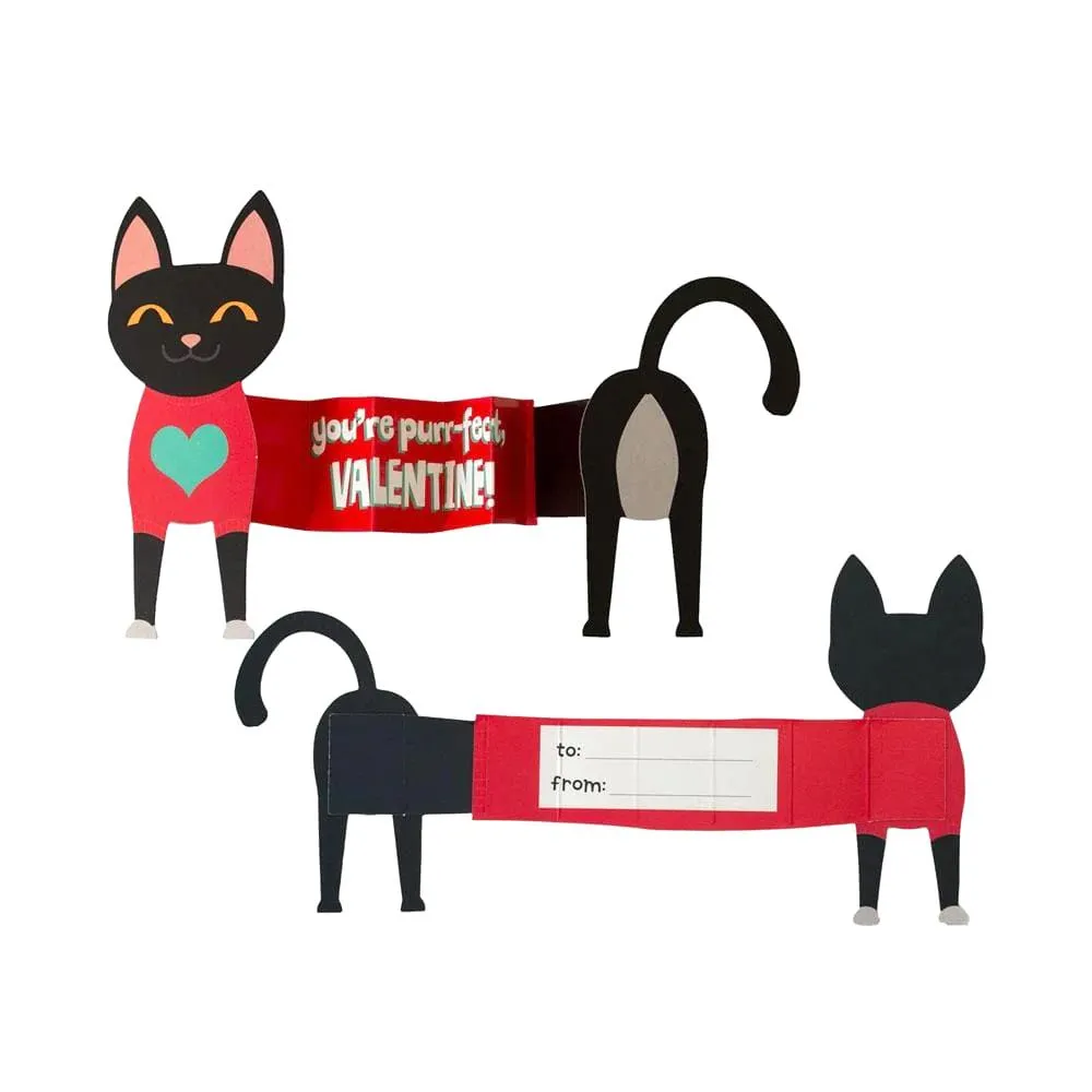 Paper House Valentine Cards Set 28pk Super Stretch Pets