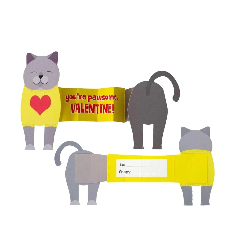 Paper House Valentine Cards Set 28pk Super Stretch Pets