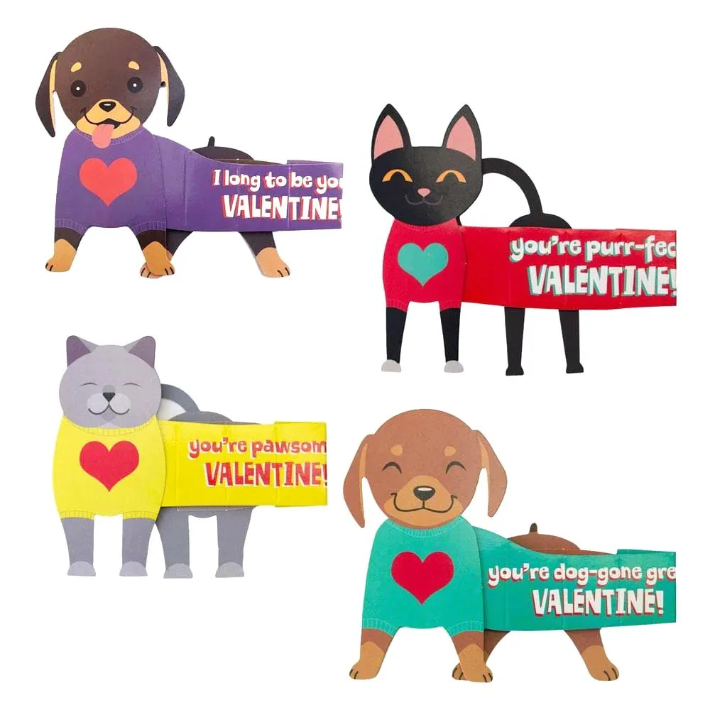 Paper House Valentine Cards Set 28pk Super Stretch Pets