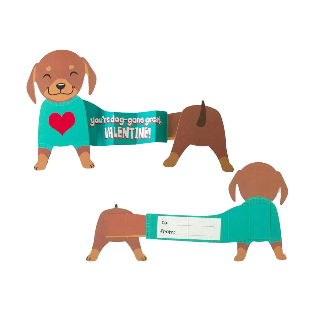 Paper House Valentine Cards Set 28pk Super Stretch Pets