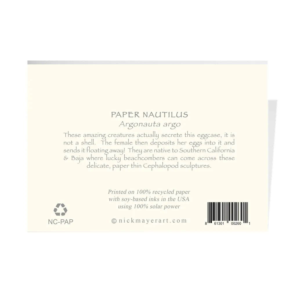 Paper Nautilus Notecards