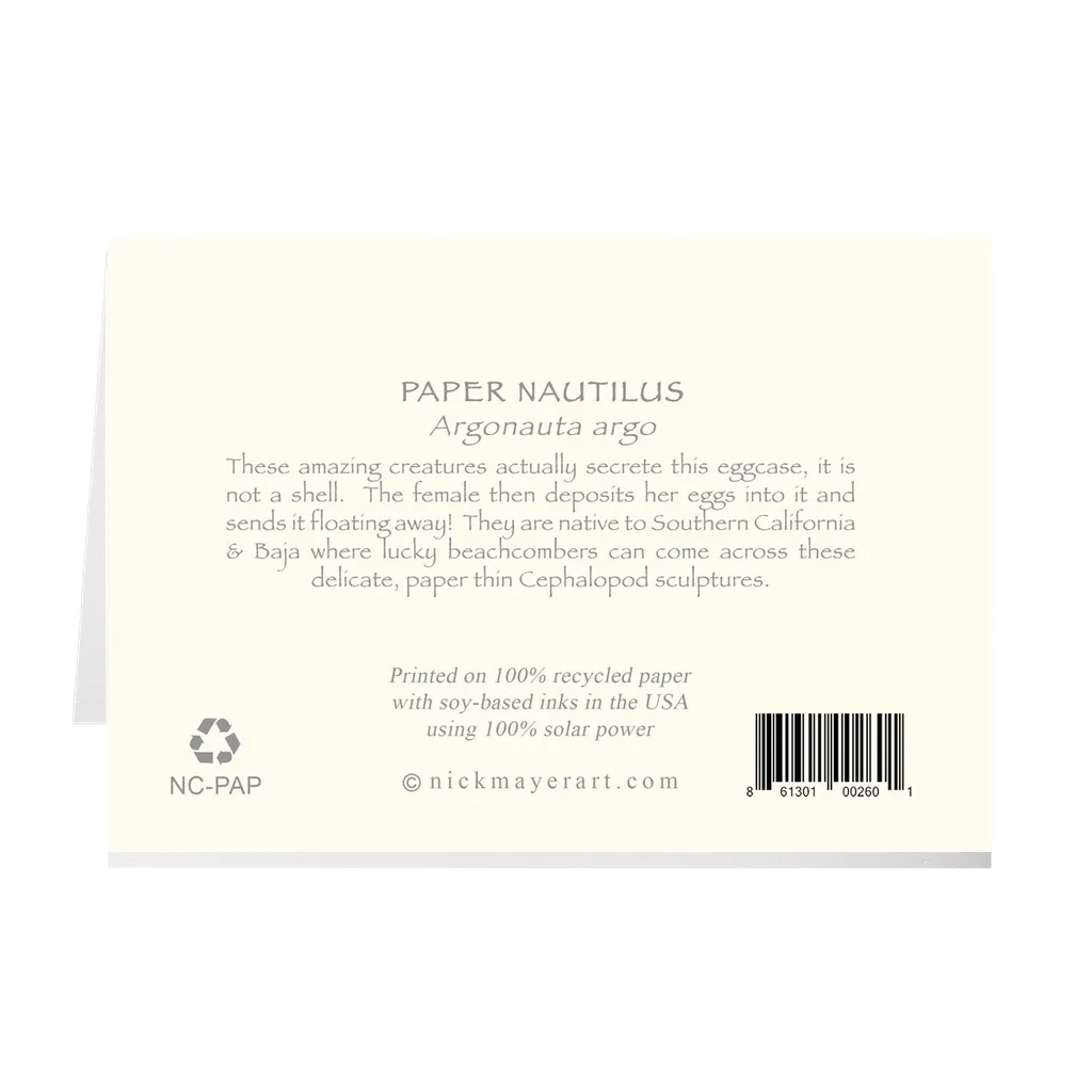 Paper Nautilus Notecards