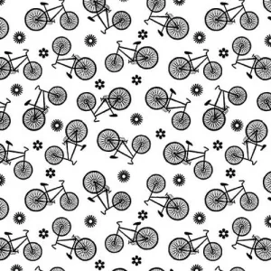 Paradox-Bicycles