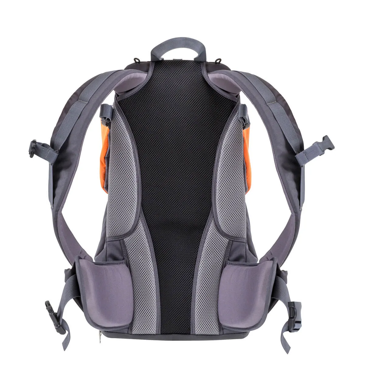 Phil&teds Parade Backpack Baby Carrier