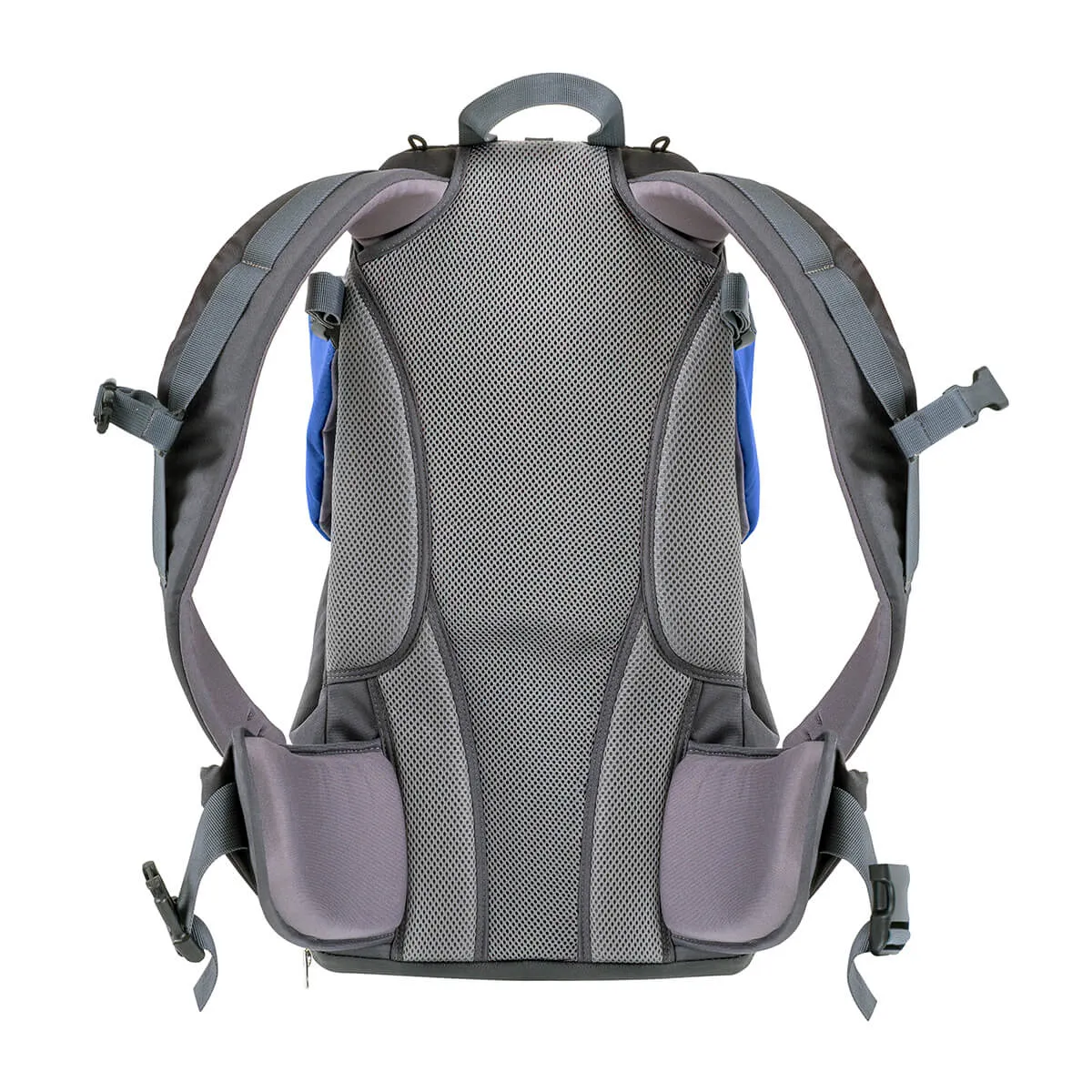 Phil&teds Parade Backpack Baby Carrier