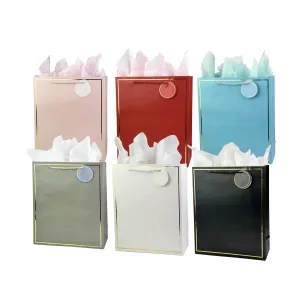 Premium Gift Bags (Assorted Colors) (Assorted Sizes)