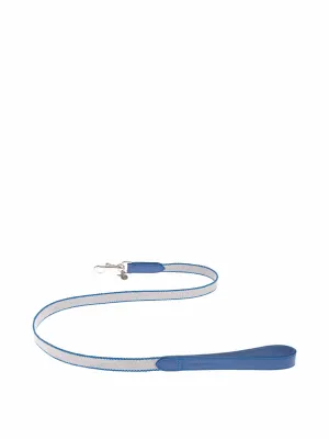 Preppy dog lead