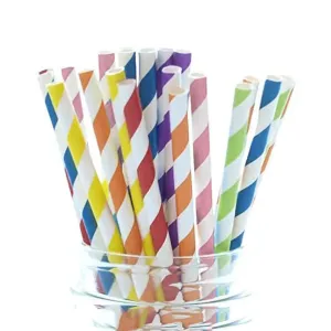 Rainbow Striped Paper Straws - 25 Pkt