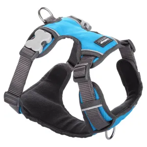 Red Dingo Padded Dog Harness (Extra-Large)