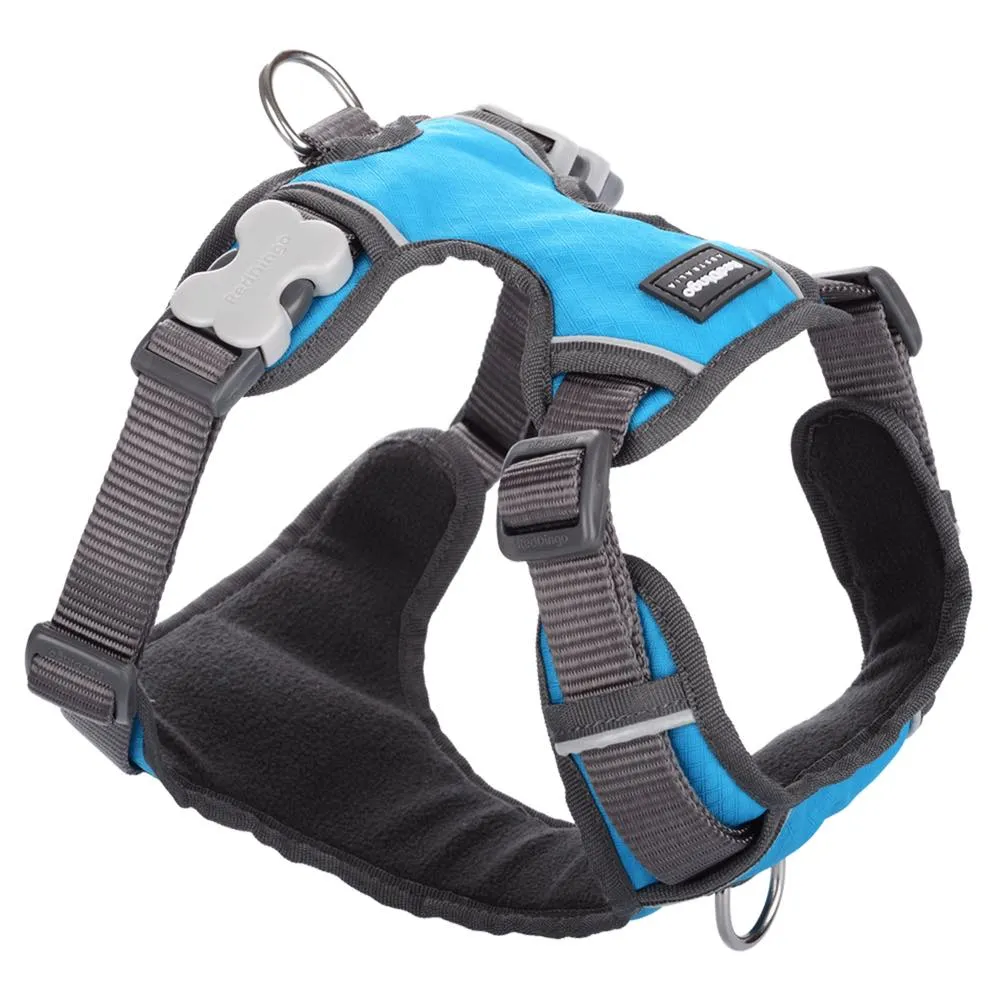 Red Dingo Padded Dog Harness (Extra-Small)