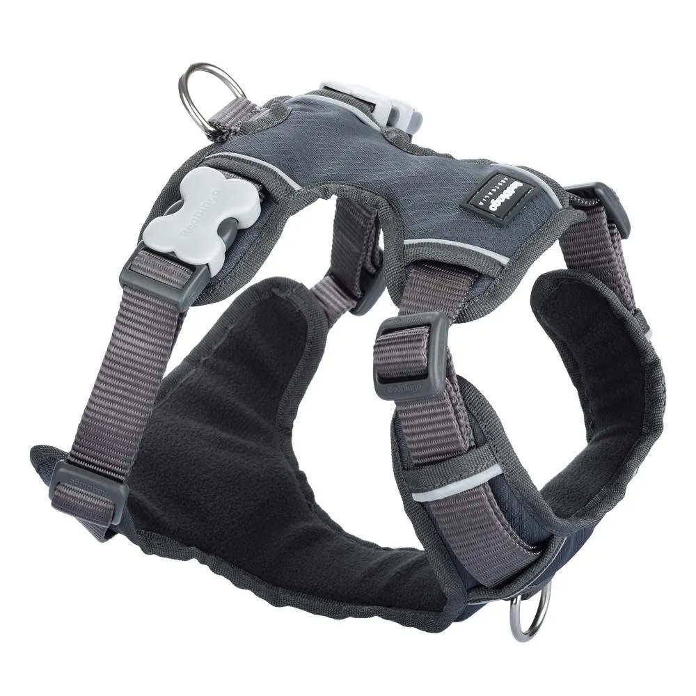 Red Dingo Padded Dog Harness (Extra-Small)