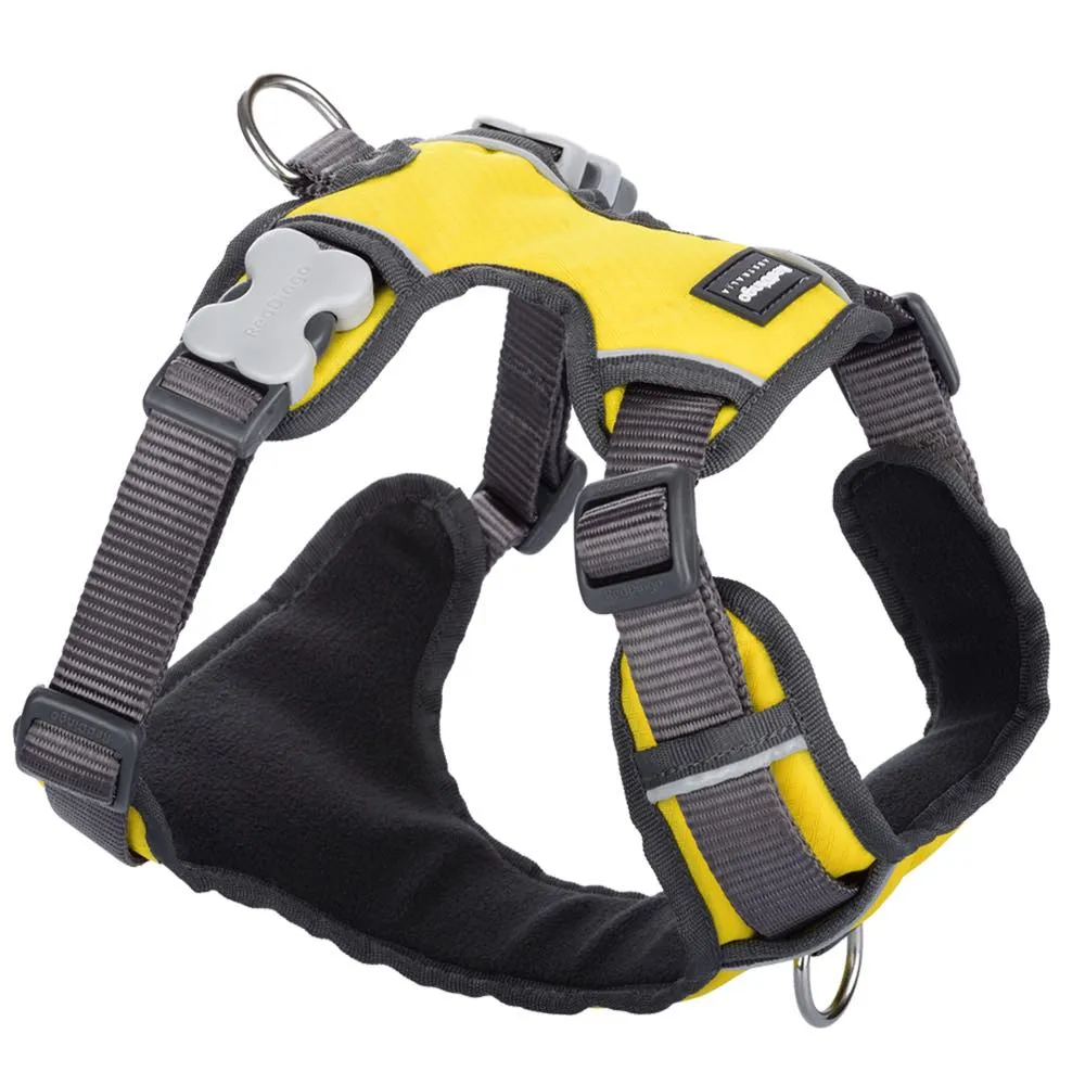 Red Dingo Padded Dog Harness (Extra-Small)