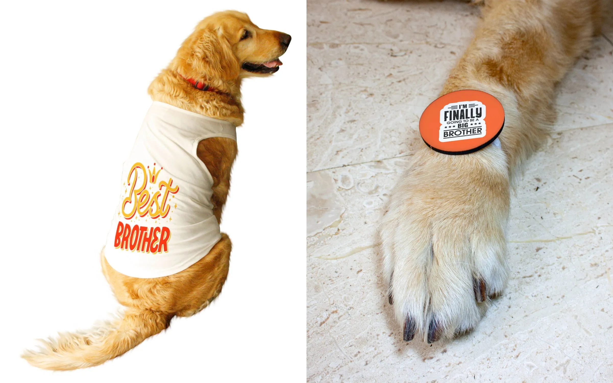 Set Of Dog Tee with Rakhi "Best Brother & Happy Raksha Bandhan" Printed Vest & Fridge Magnet Rakhi Gift For Bro/Boys Dogs