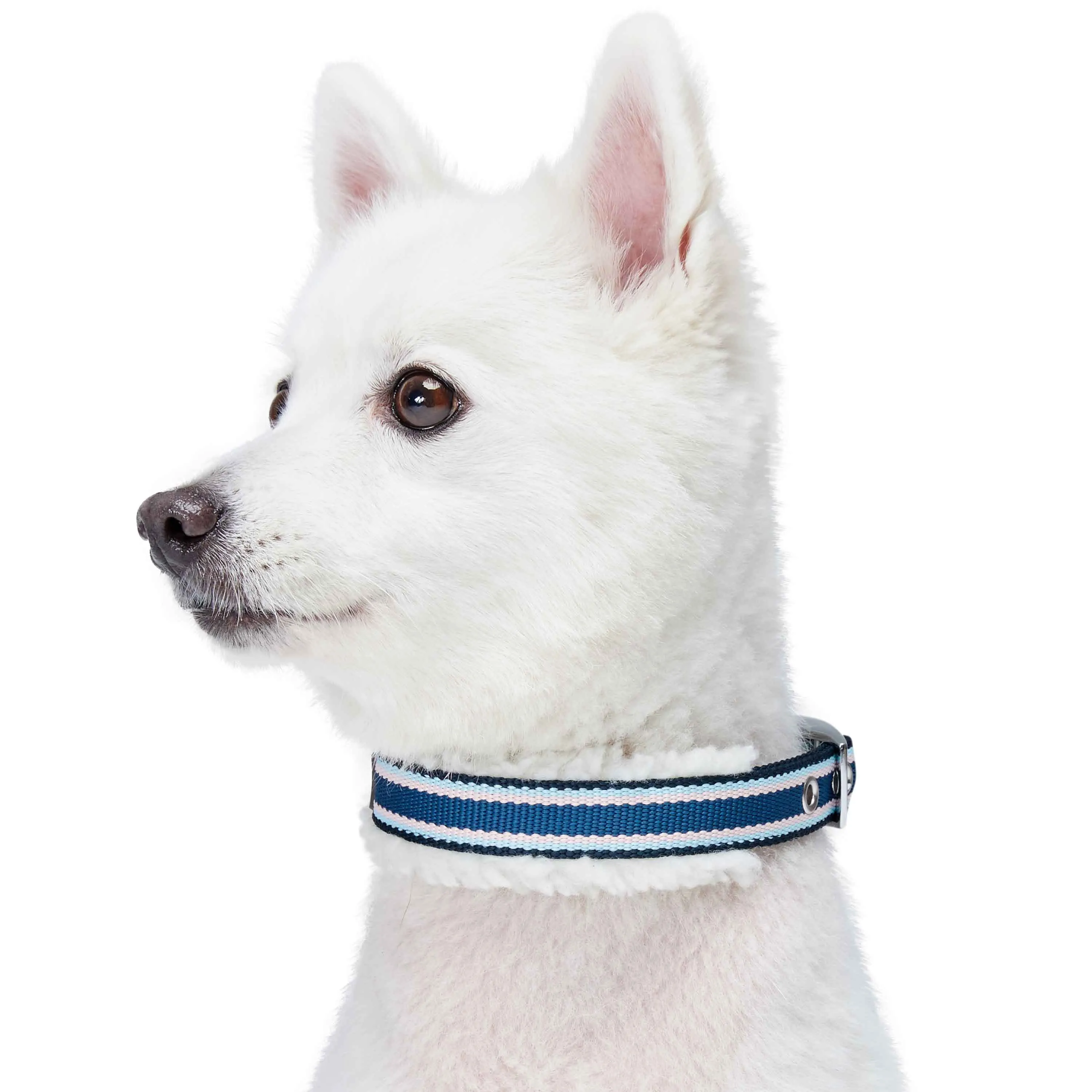 Sherpa Fleece Padded Dog Collar in Multi-color Stripes