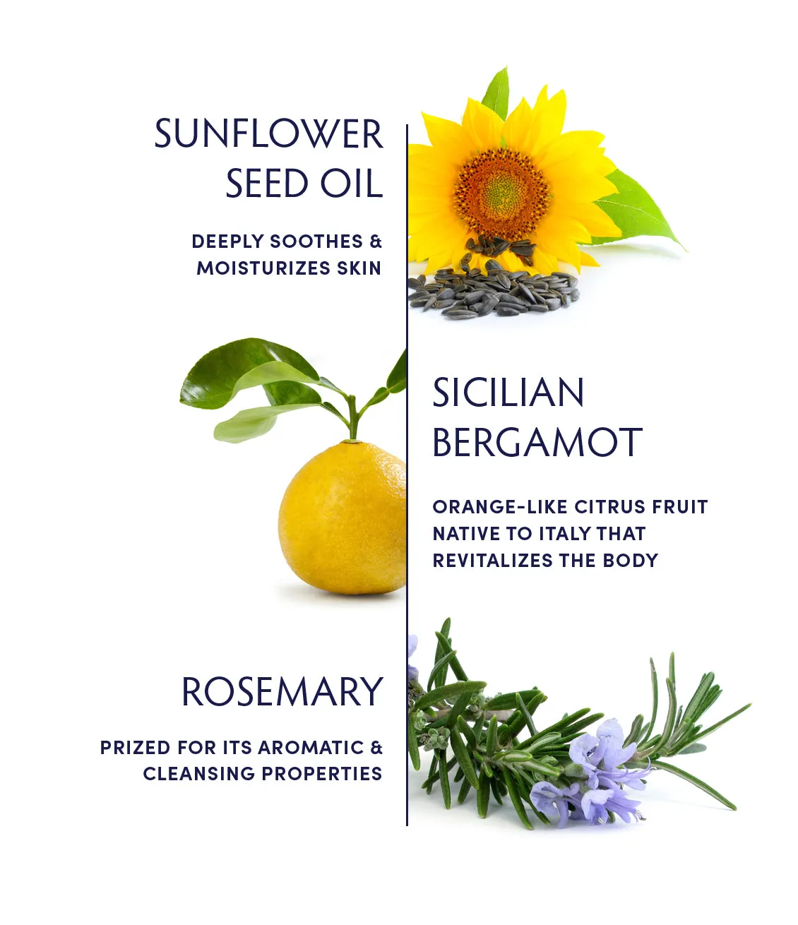 Sicilian Bergamot Body Lotion