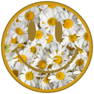 smiley face, heat transfer, press and peel