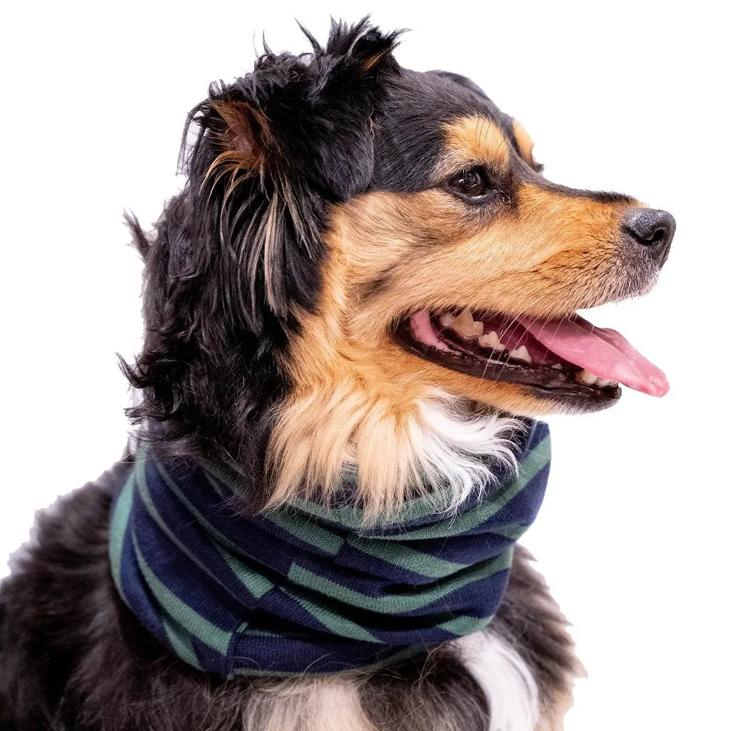 Snood Dog Neck Warmer Navy/Green
