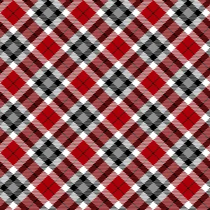 Snow Crew | Multi Small Even Plaid by Barb Tourtillotte for Henry Glass | 1294-89