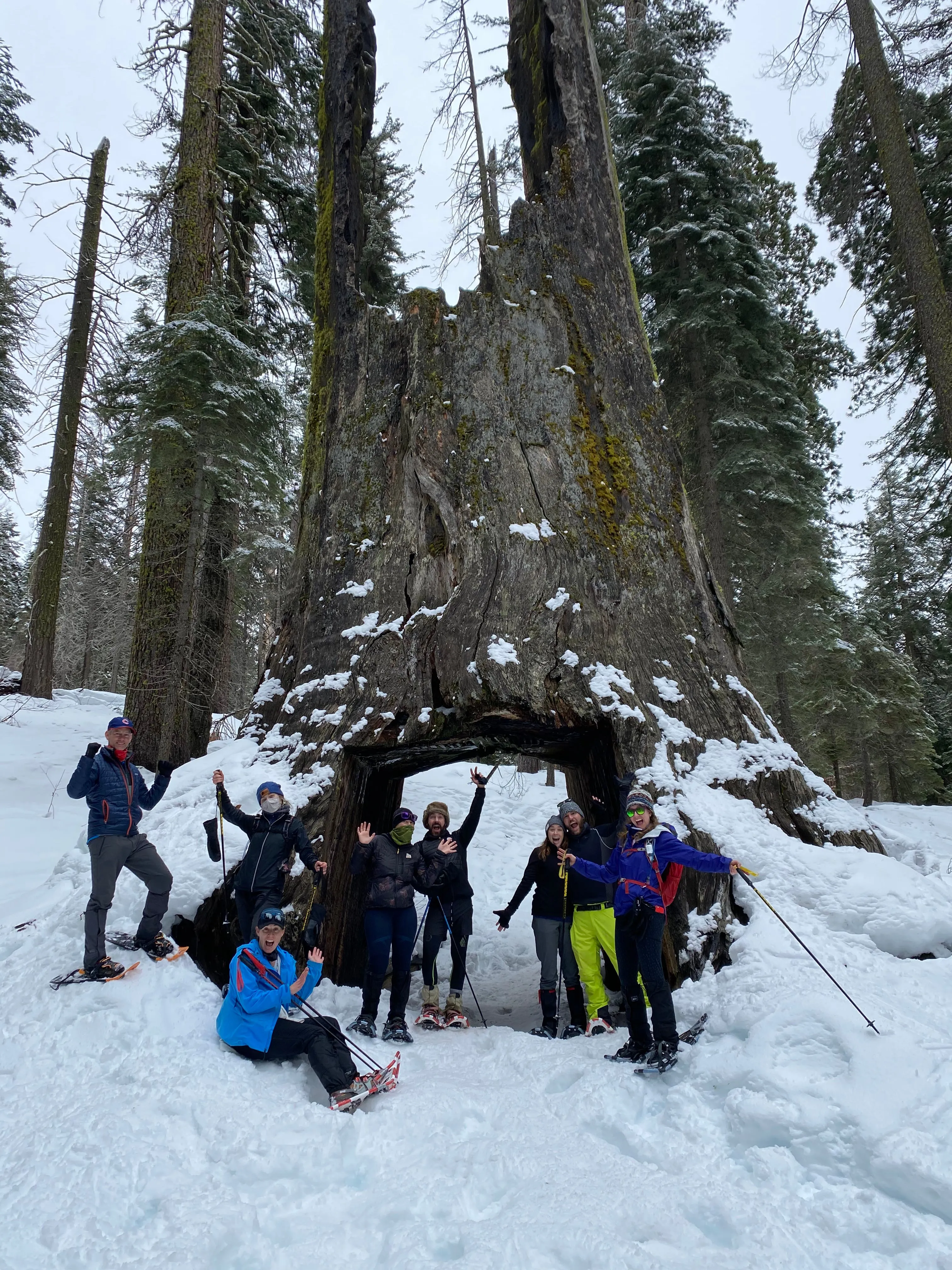 Snowshoeing Yosemite: Tuolumne Grove/Gin Flat Weekend