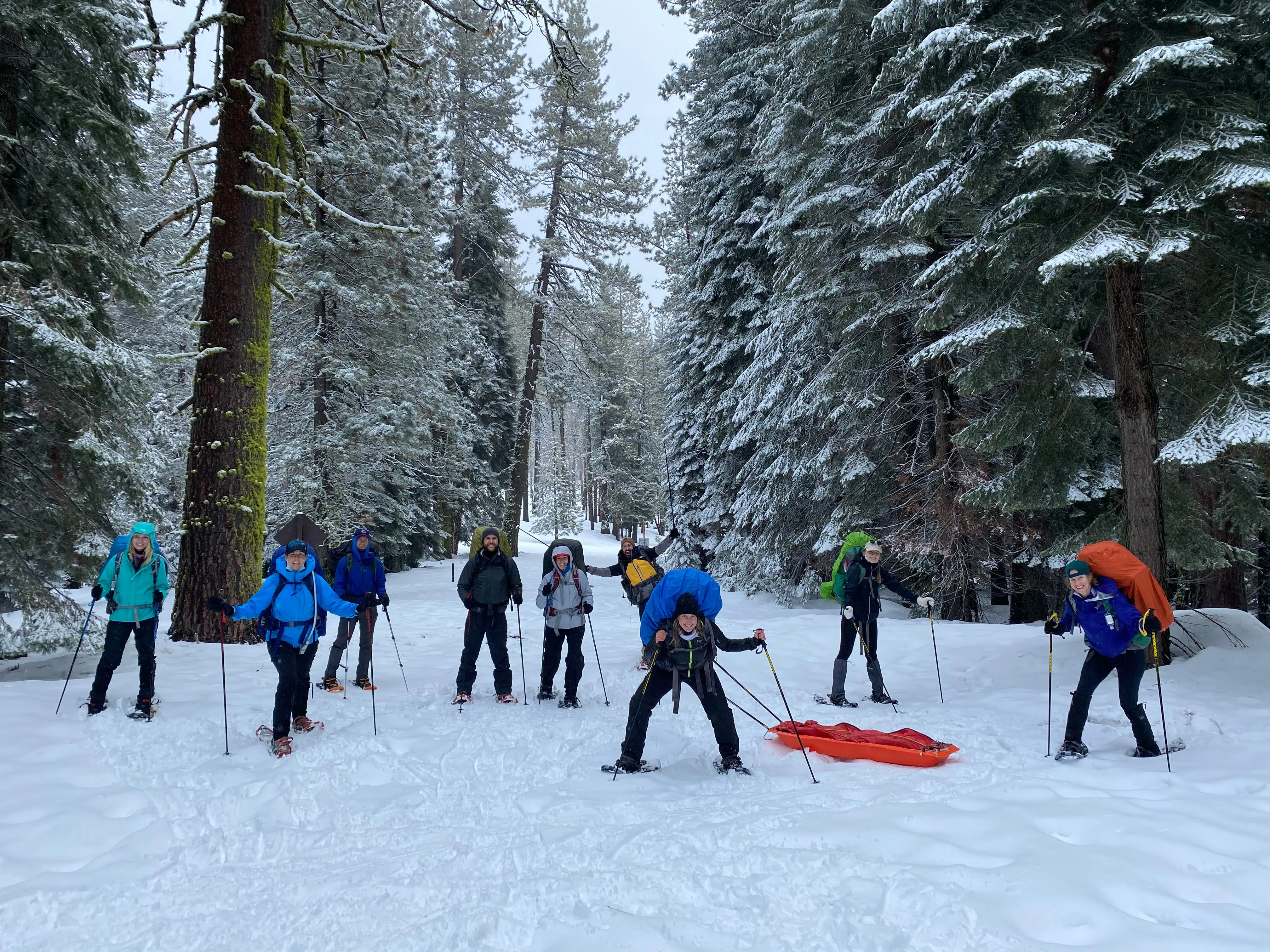 Snowshoeing Yosemite: Tuolumne Grove/Gin Flat Weekend