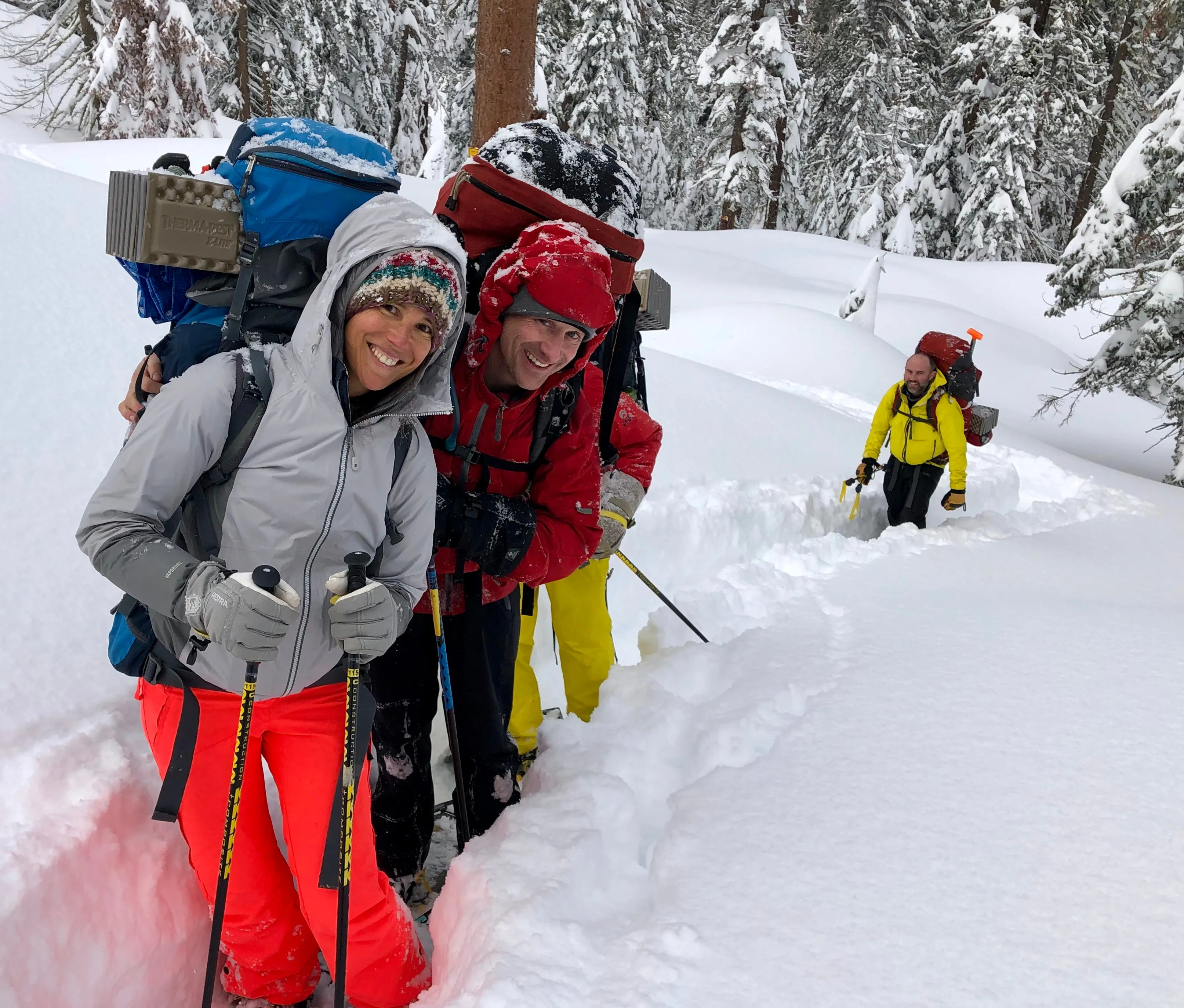 Snowshoeing Yosemite: Tuolumne Grove/Gin Flat Weekend