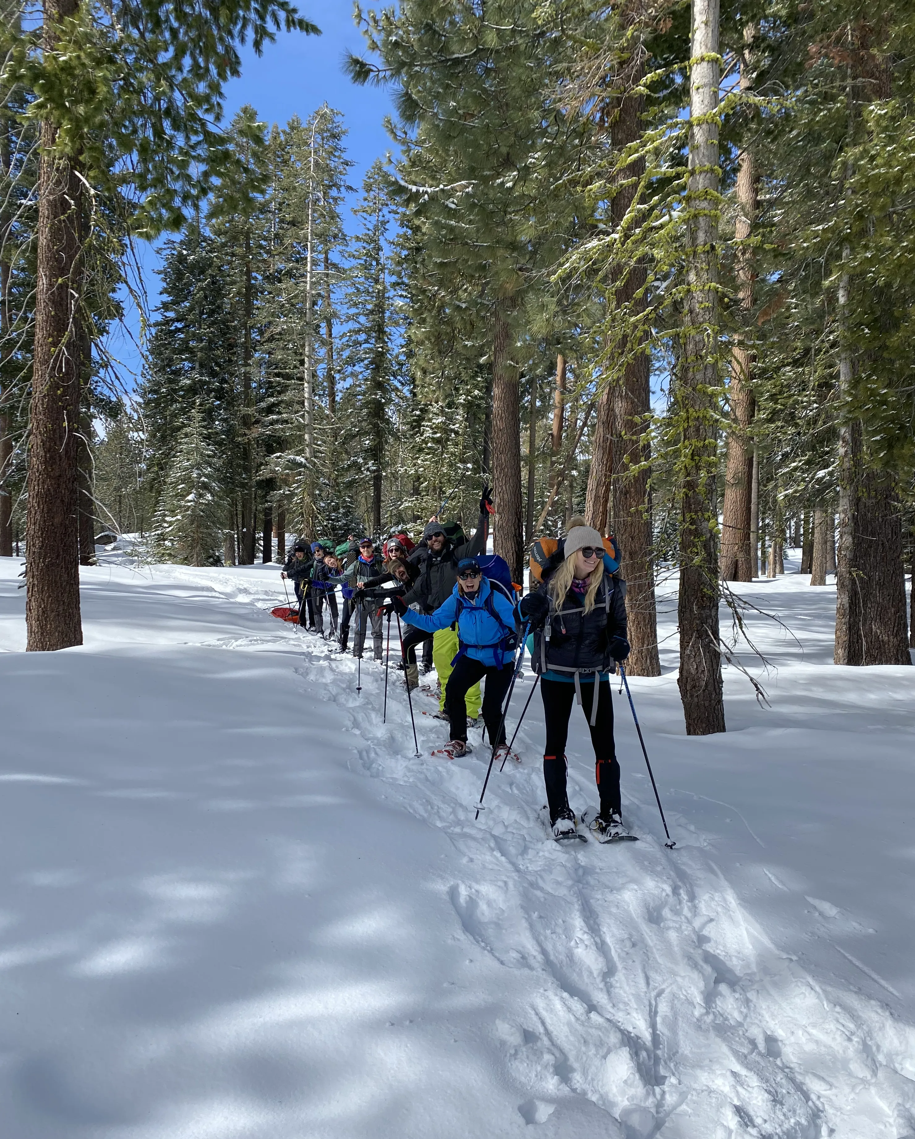 Snowshoeing Yosemite: Tuolumne Grove/Gin Flat Weekend