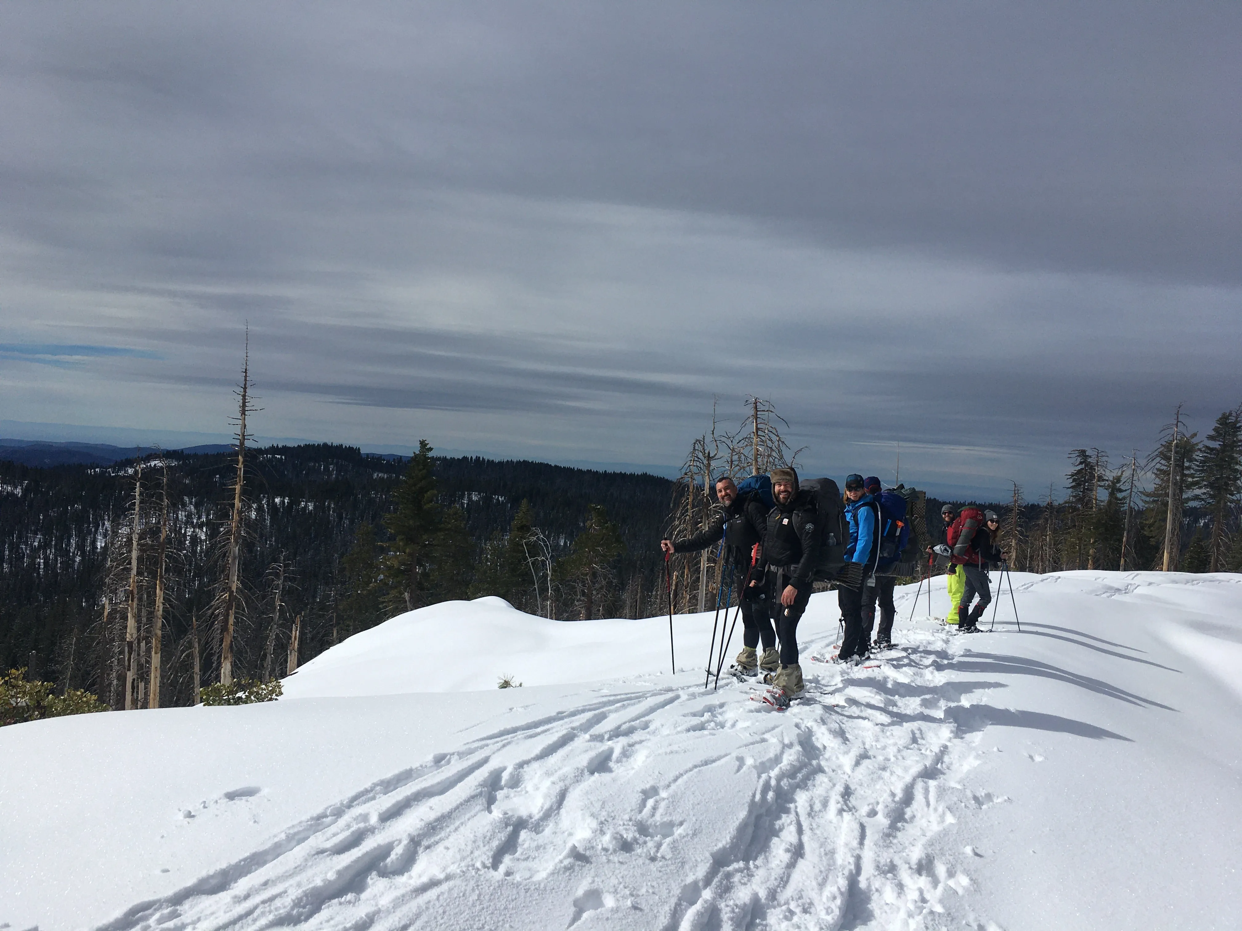 Snowshoeing Yosemite: Tuolumne Grove/Gin Flat Weekend