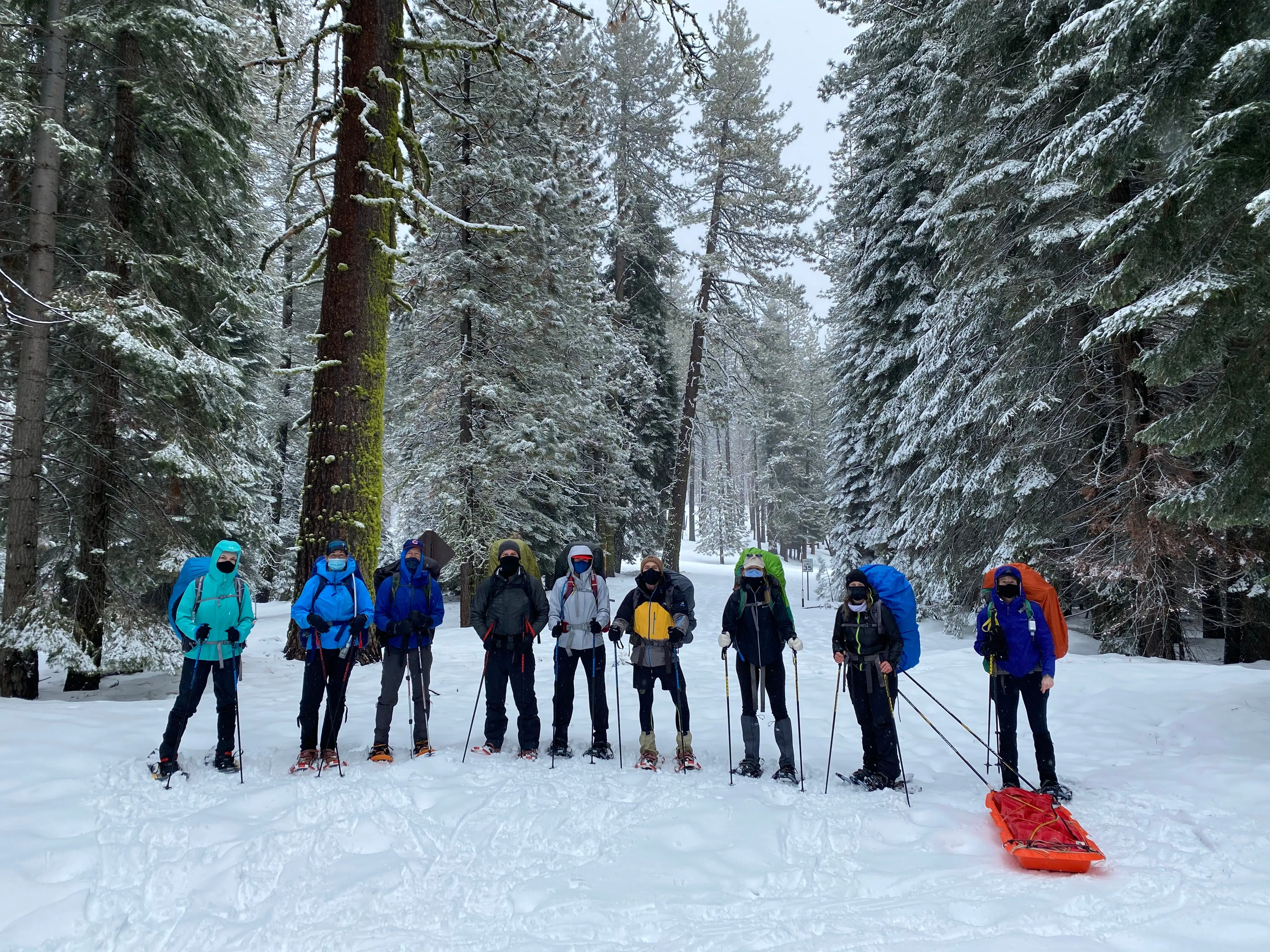 Snowshoeing Yosemite: Tuolumne Grove/Gin Flat Weekend