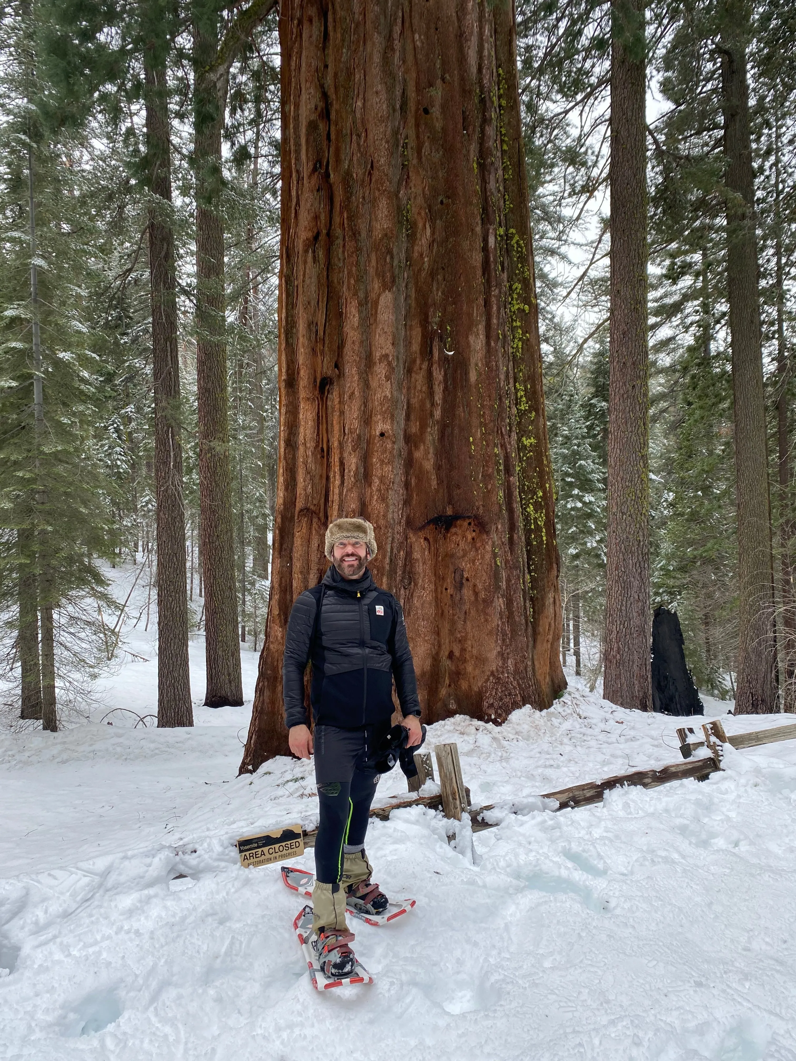 Snowshoeing Yosemite: Tuolumne Grove/Gin Flat Weekend
