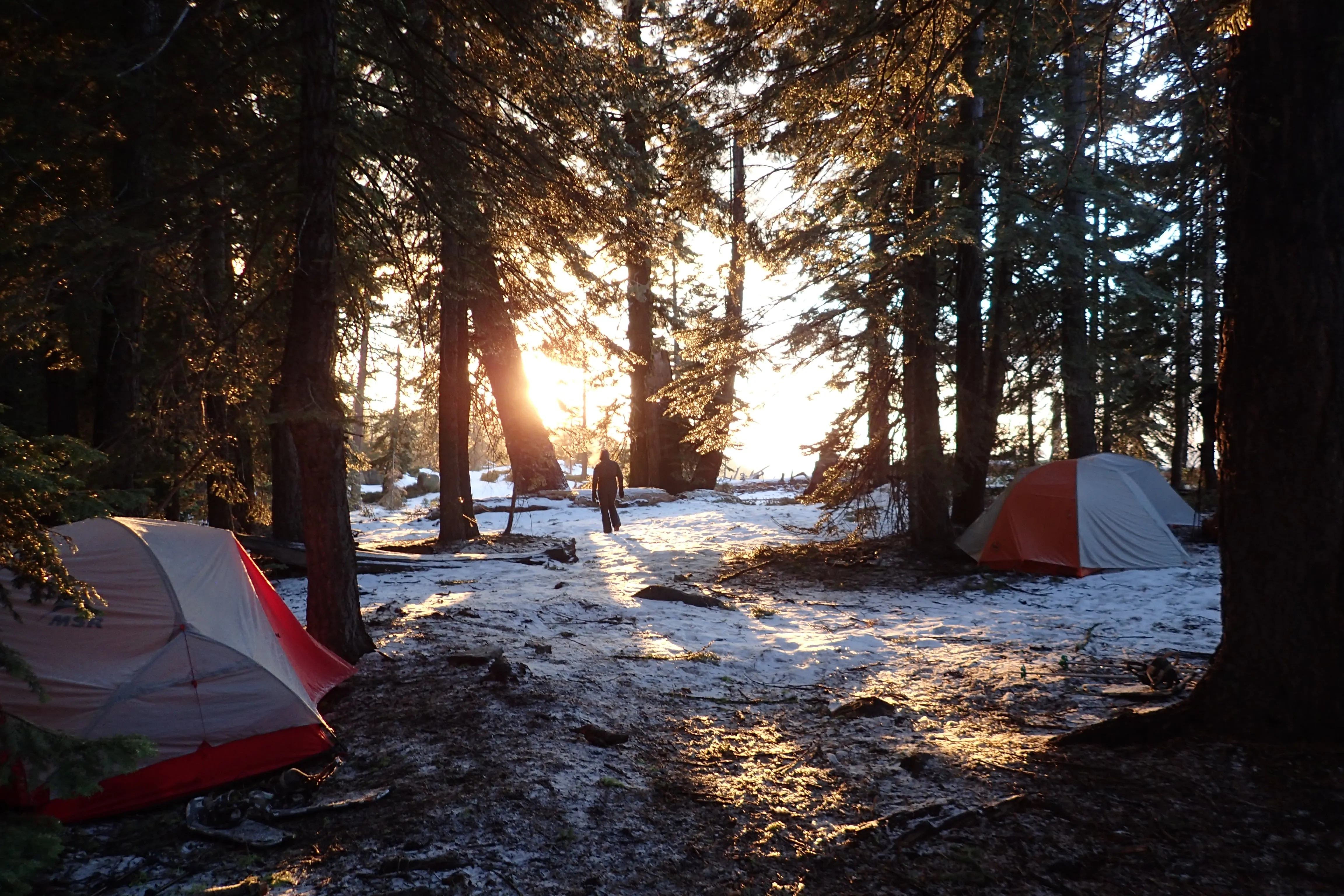 Snowshoeing Yosemite: Tuolumne Grove/Gin Flat Weekend
