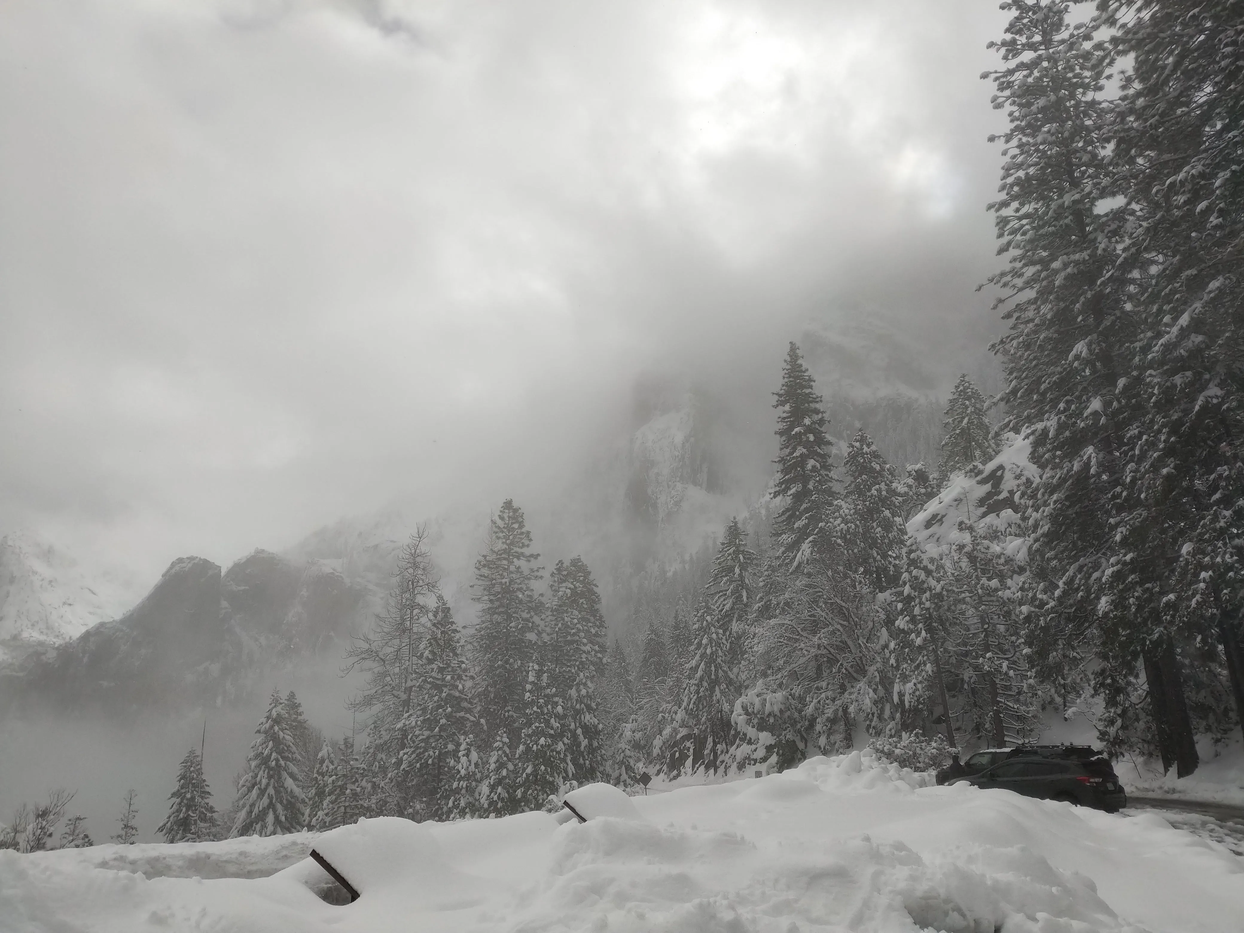 Snowshoeing Yosemite: Tuolumne Grove/Gin Flat Weekend